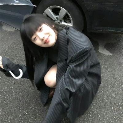 树袋熊