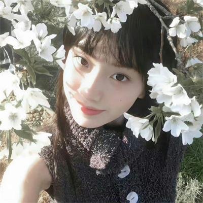 献给检察官的玫瑰花
